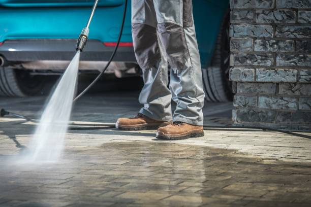 Best Winterizing Services  in Maryvle, IL
