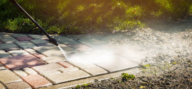 Best Animal Enclosure Cleaning  in Maryvle, IL